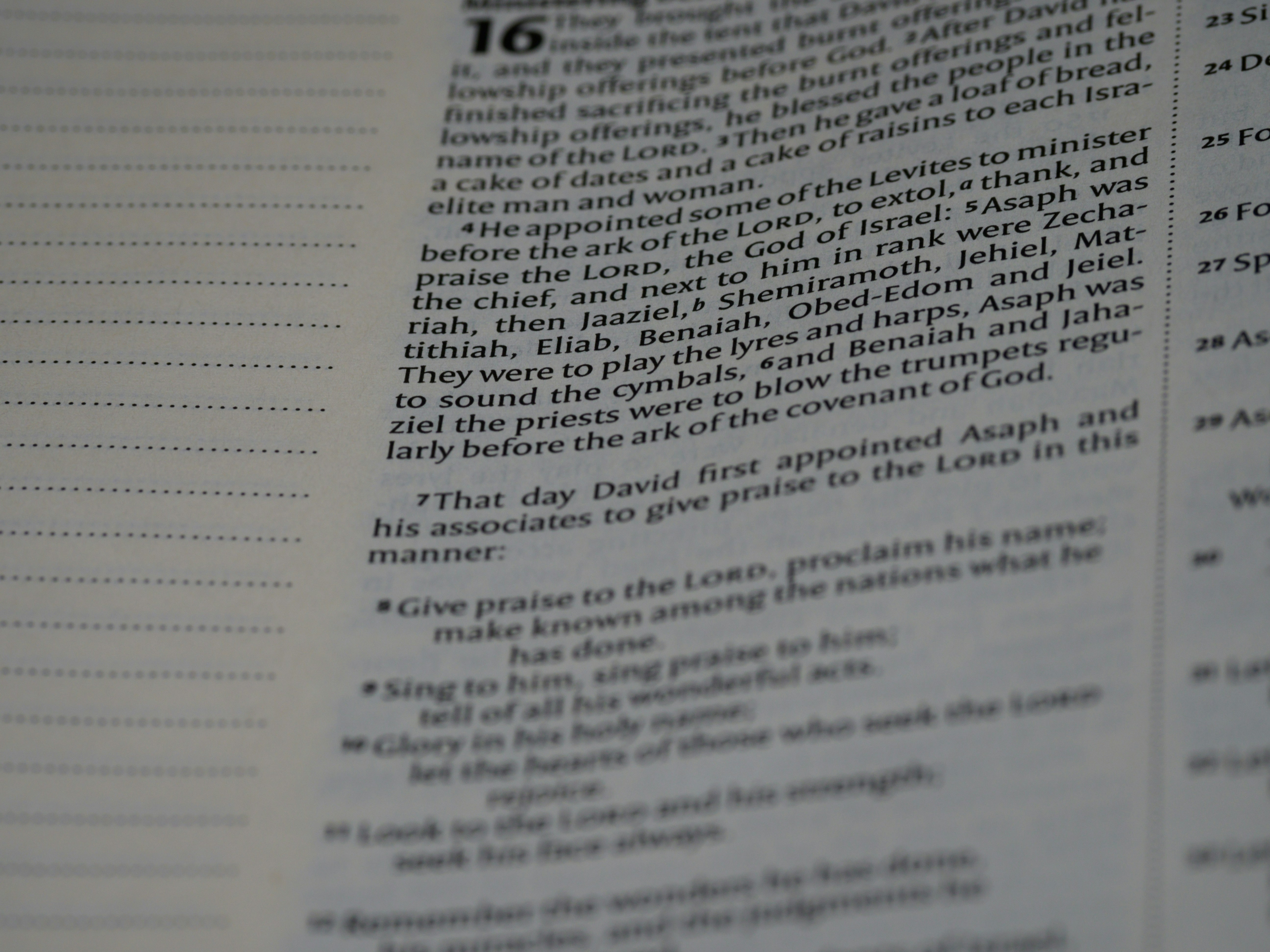 Photo by brett_jordan