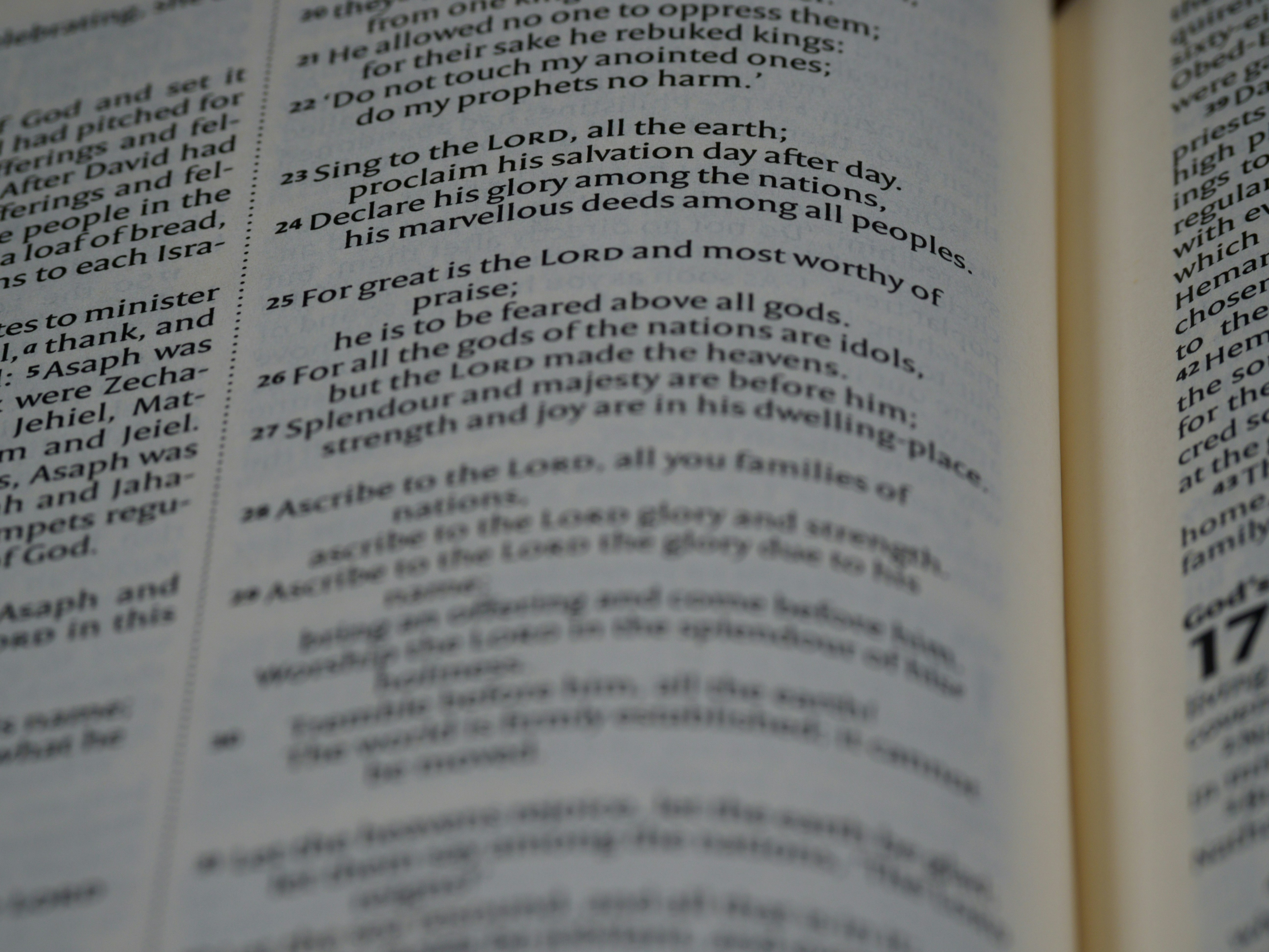 Photo by brett_jordan