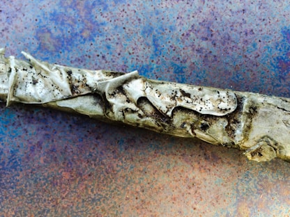A close-up view of a rusted metal surface with a prominent, weathered, and corroded pipe or rod resting on it. The metal surface displays a gradient of colors from deep blue to rust brown, with a pattern of speckles created by corrosion. The pipe itself is wrapped with a deteriorated material, adding texture with cracks and layers of decay.