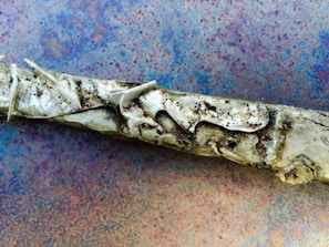 A pipeline section showing detailed corrosion mapping from Corrosight’s inspection.