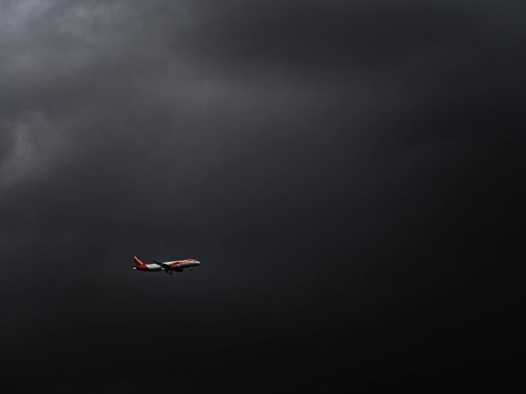 white and red bird flying under gray clouds