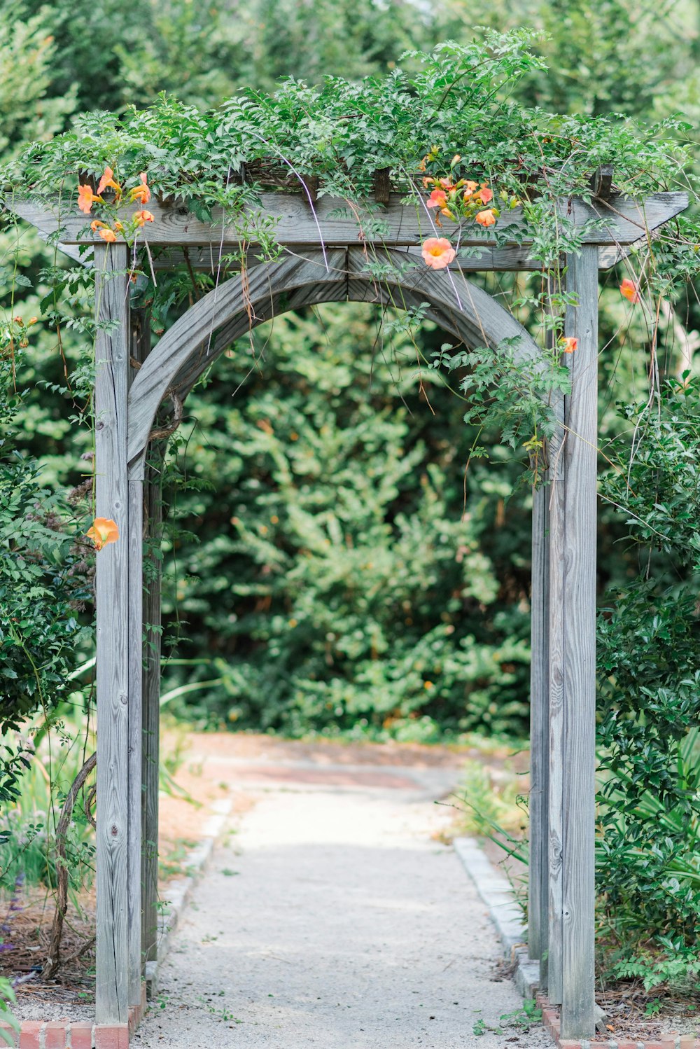 green and white floral arch