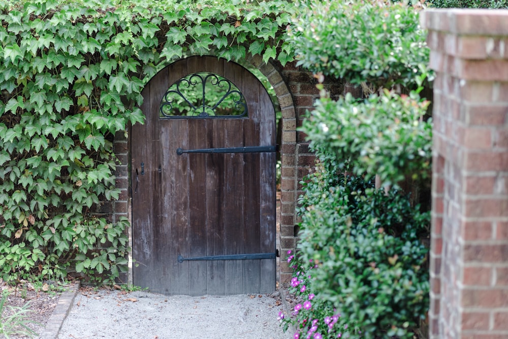 green wooden door with purple flowers