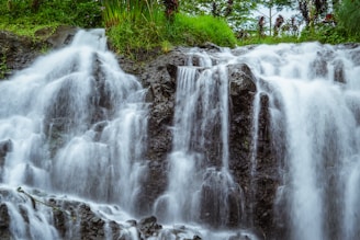 water falls in the forest