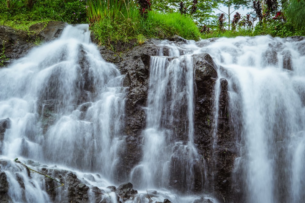 water falls in the forest