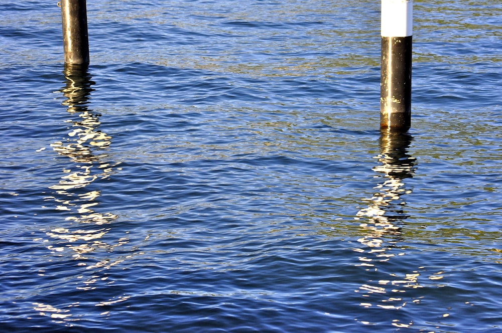 body of water during daytime