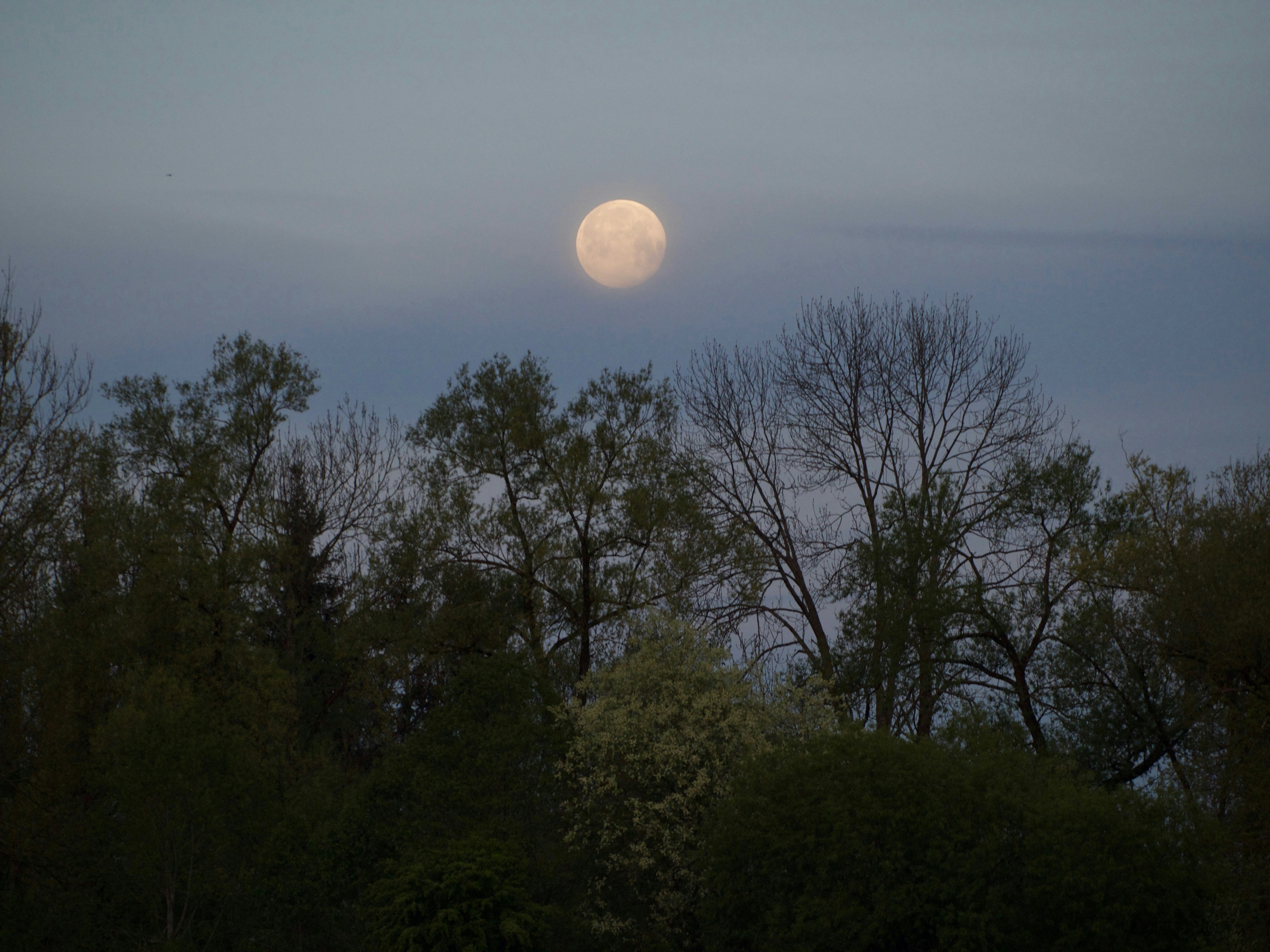 Photo by biehli