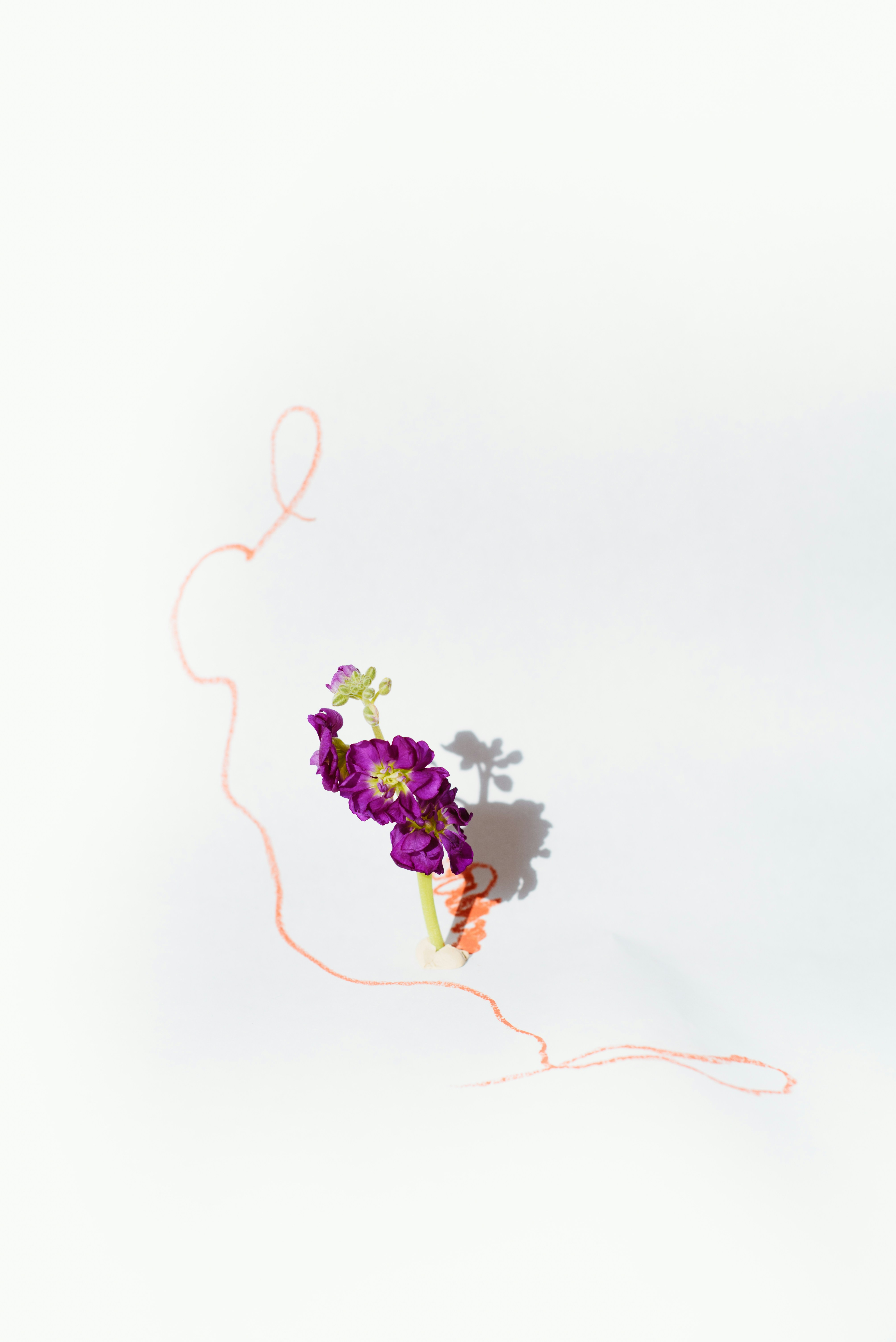 Photo by evieshaffer