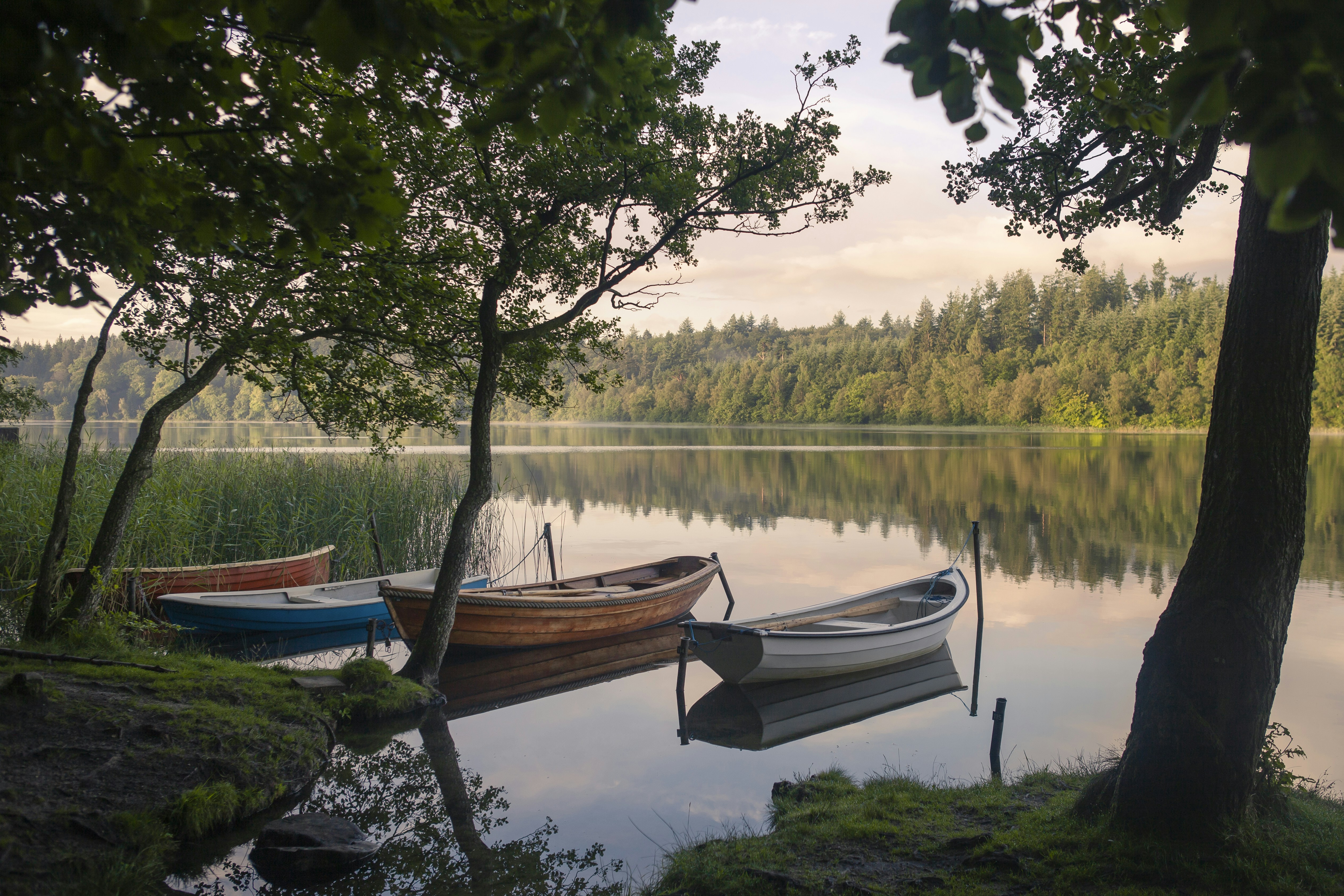 Photo by toft_pilgaard