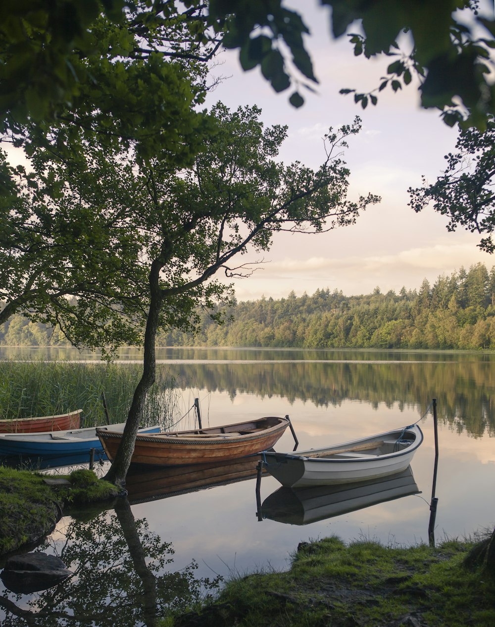 brown boat on lake during daytime