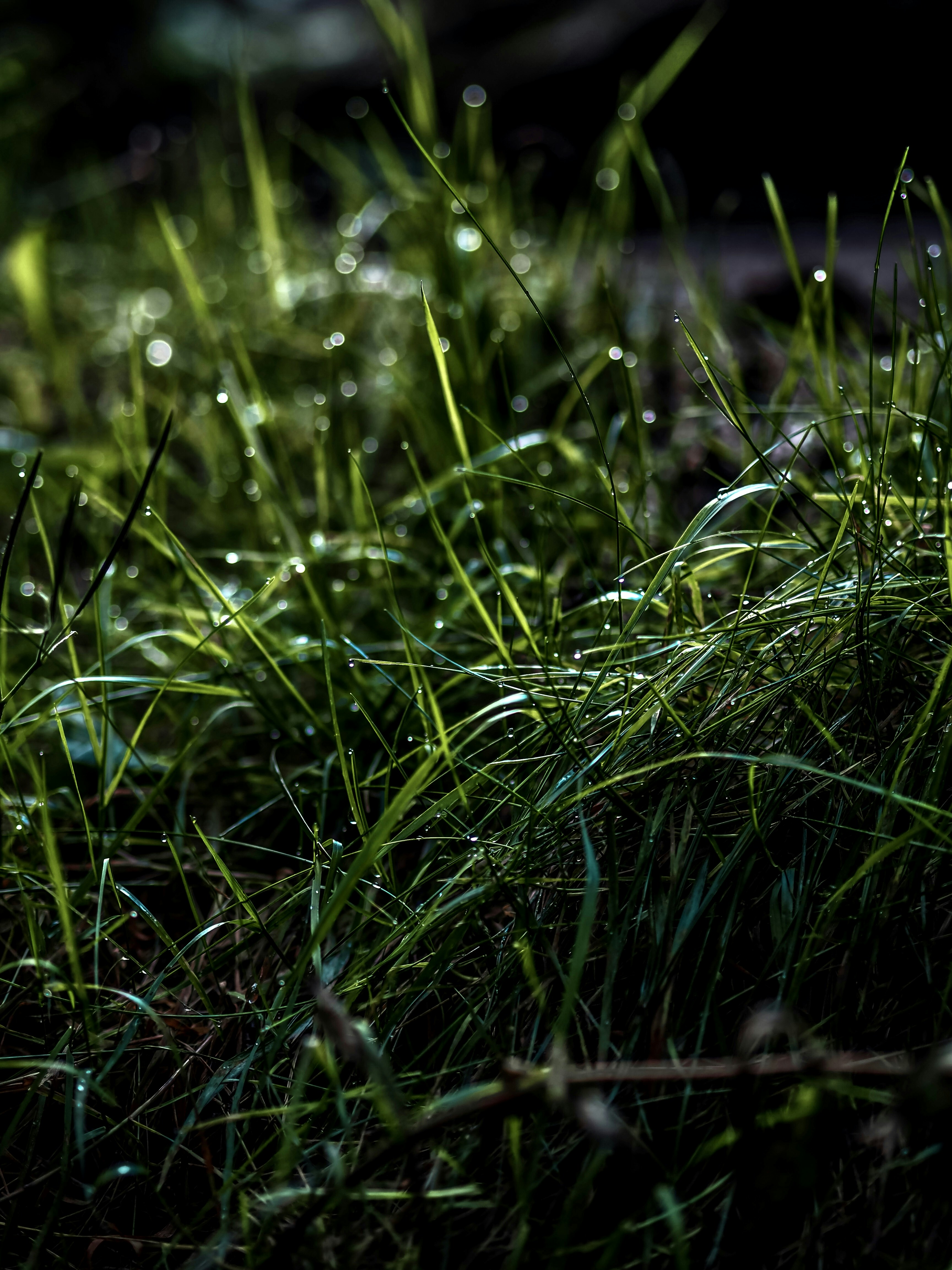 Photo by jirovakristynka