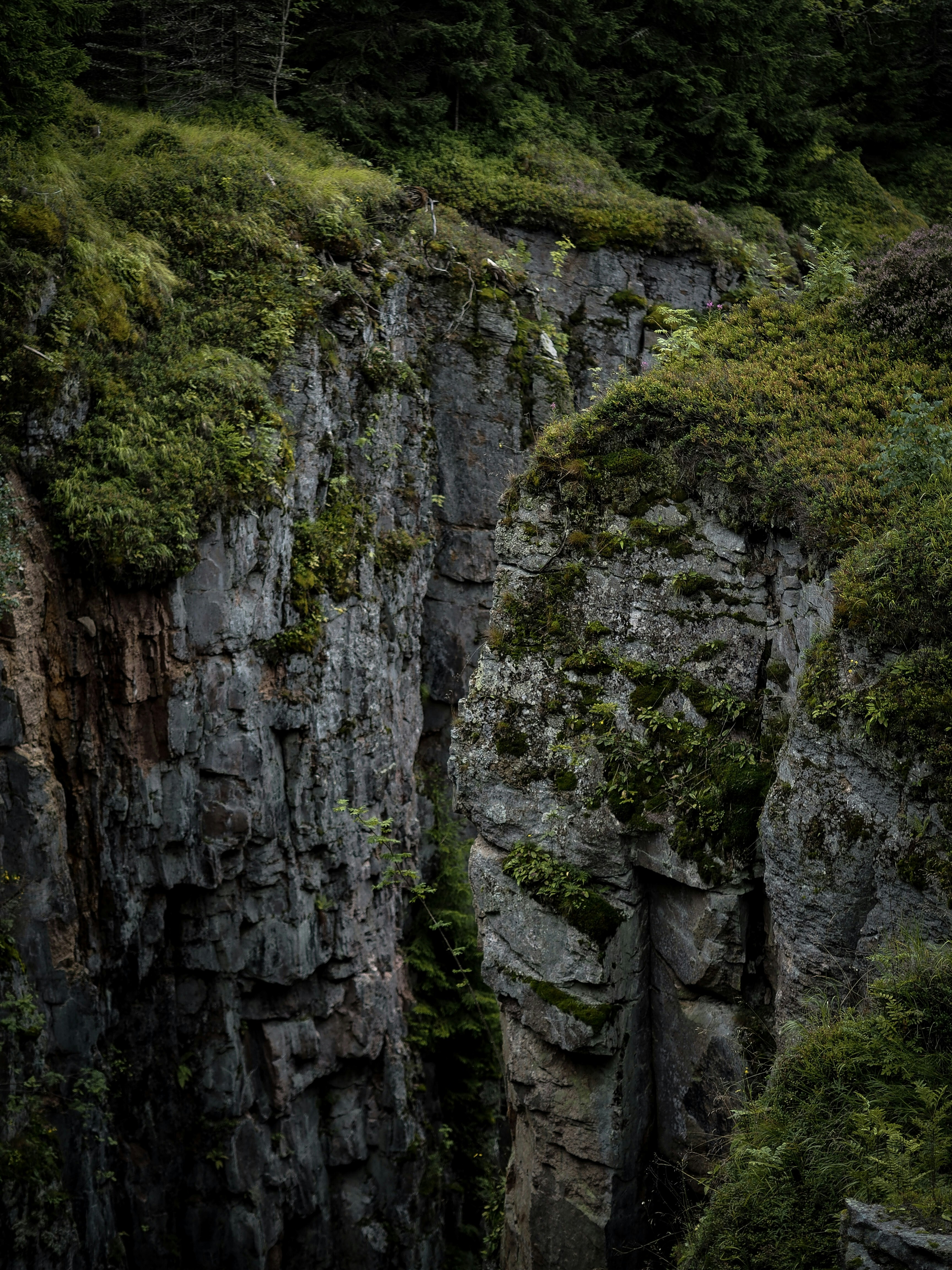 Photo by jirovakristynka