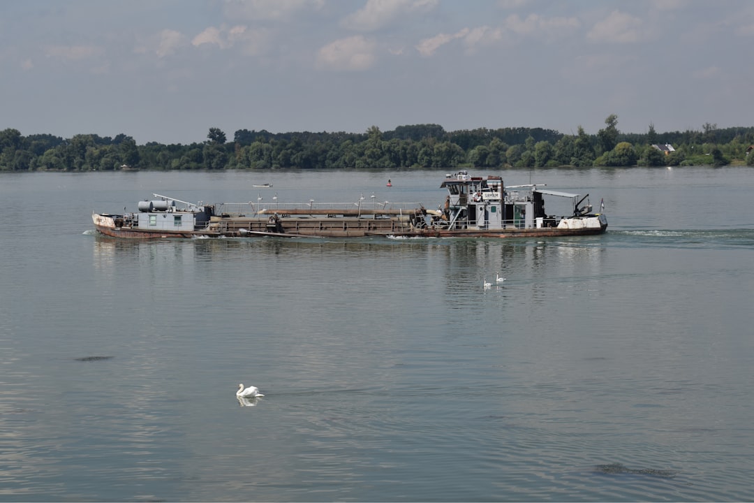 brown and white boat on body of water during daytime