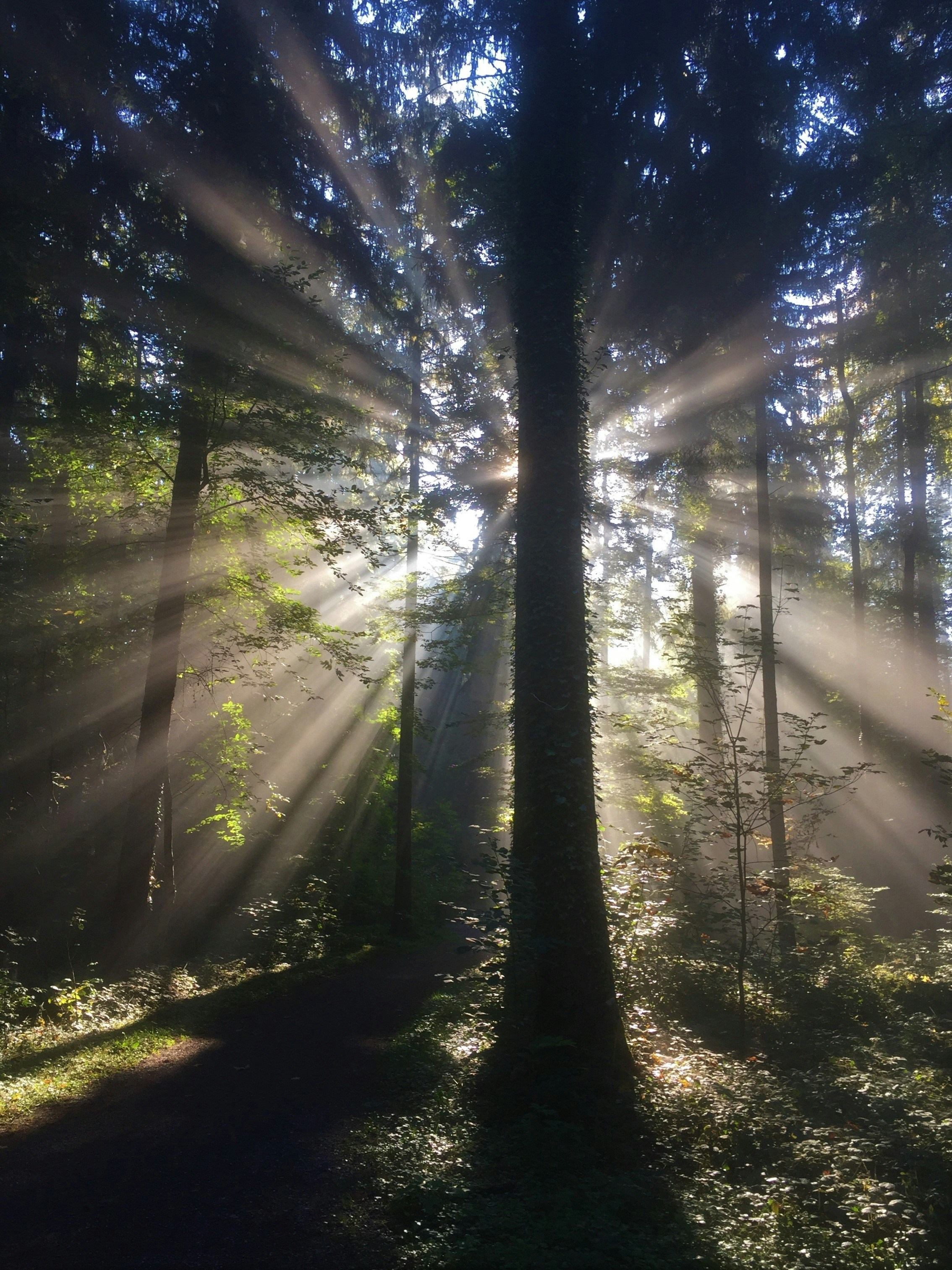 Photo by pedrino5_official