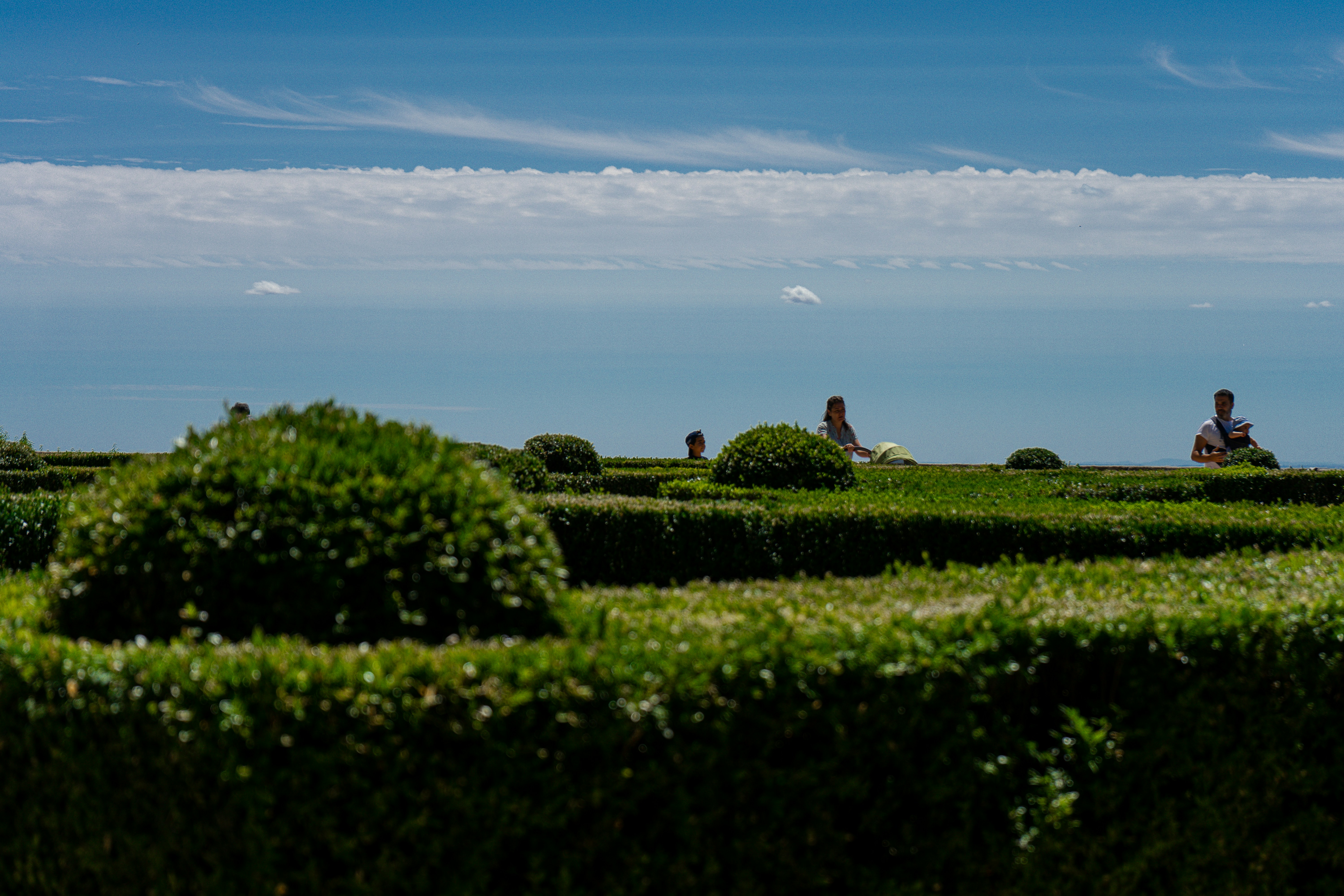 green grass field under blue sky during daytime