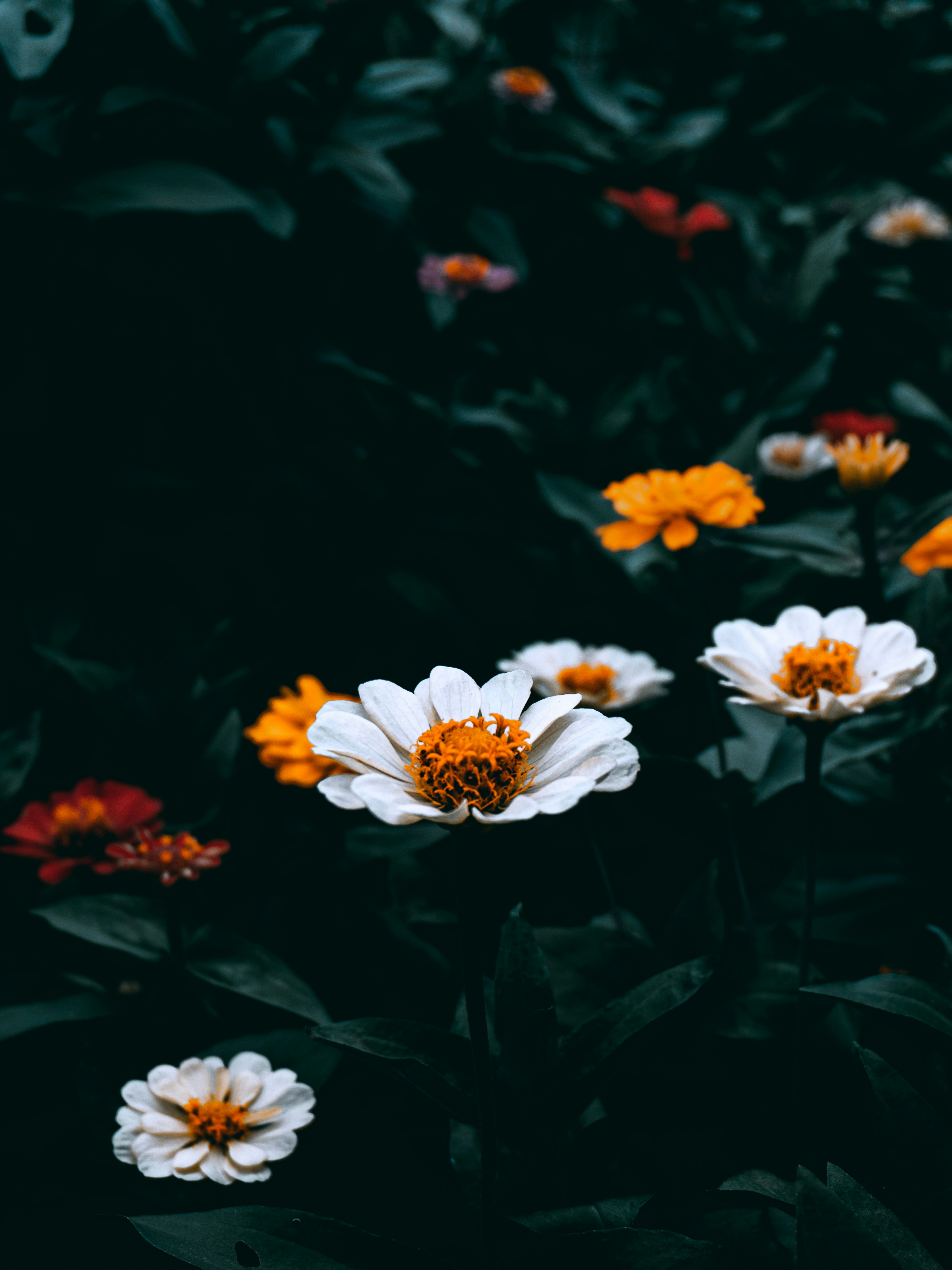 Photo by awan_project