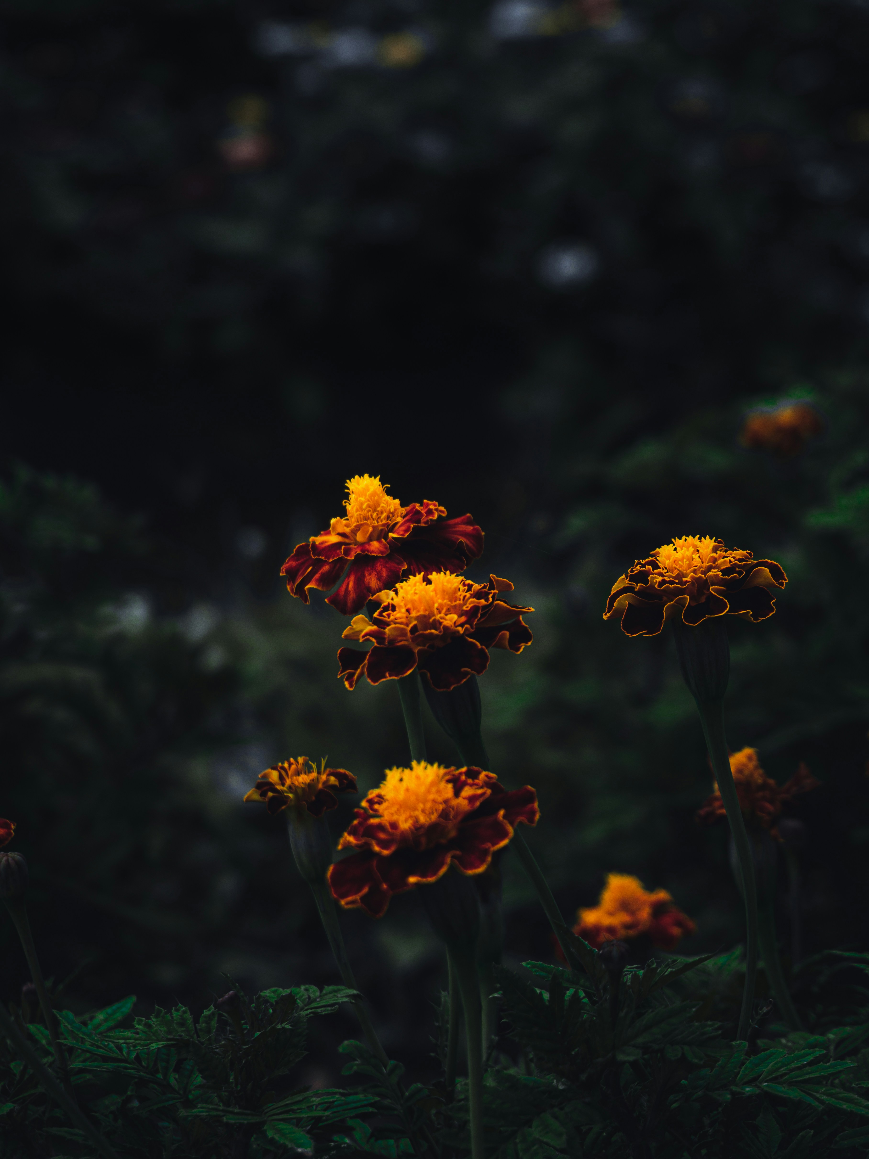 Photo by awan_project