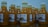 Several bottles filled with a yellow liquid are arranged on a reflective surface. Each bottle is sealed with a white cap and has a label featuring text and images. The liquid inside appears to be a turmeric-based drink.