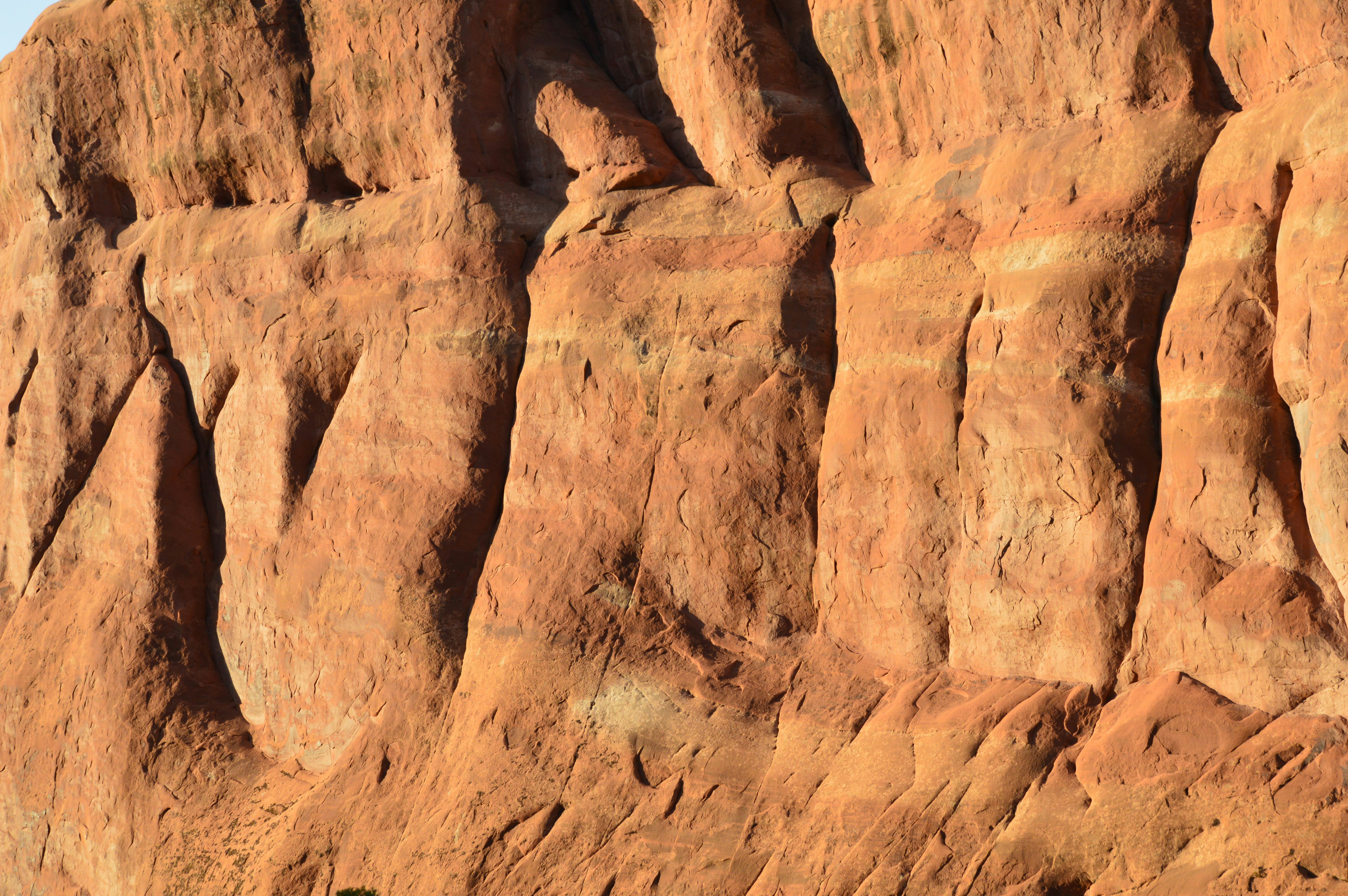 Photo by who_is_trent