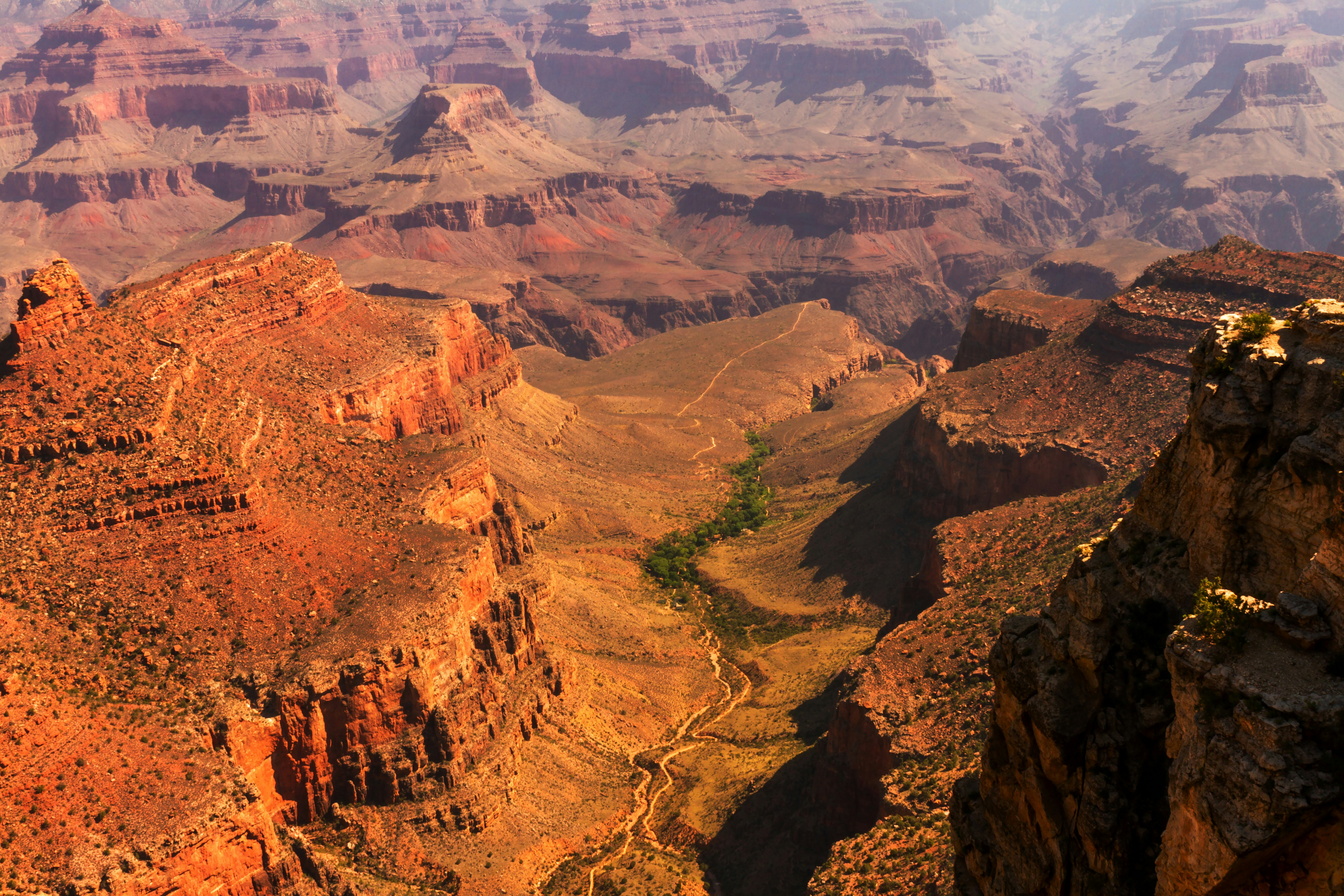 صورة المعرض