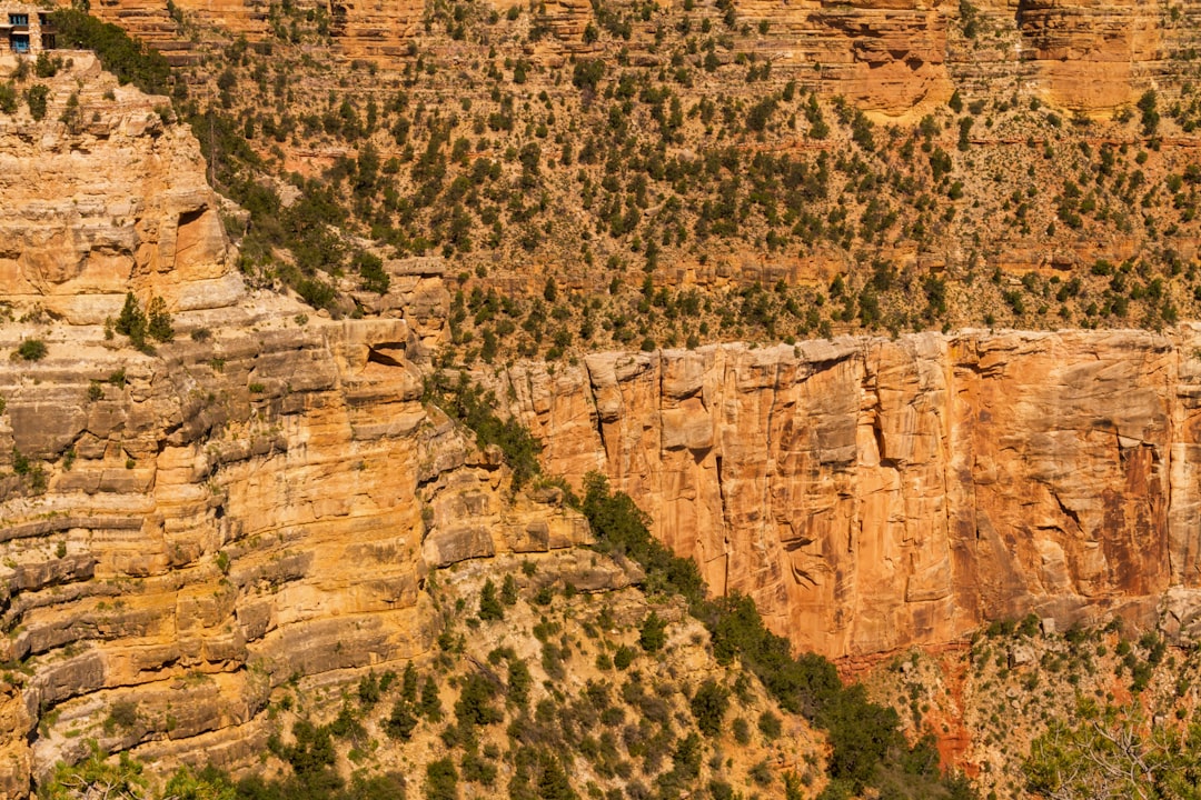 brown rocky mountain with green trees during daytime