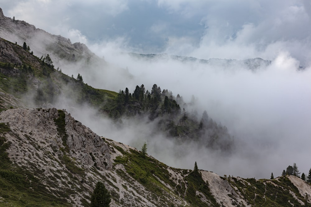 green trees on mountain under white clouds during daytime