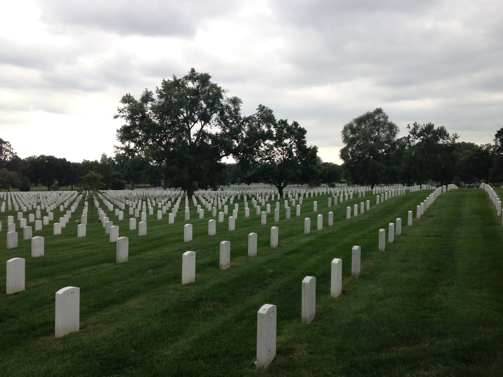 green grass field with trees under white sky during daytime