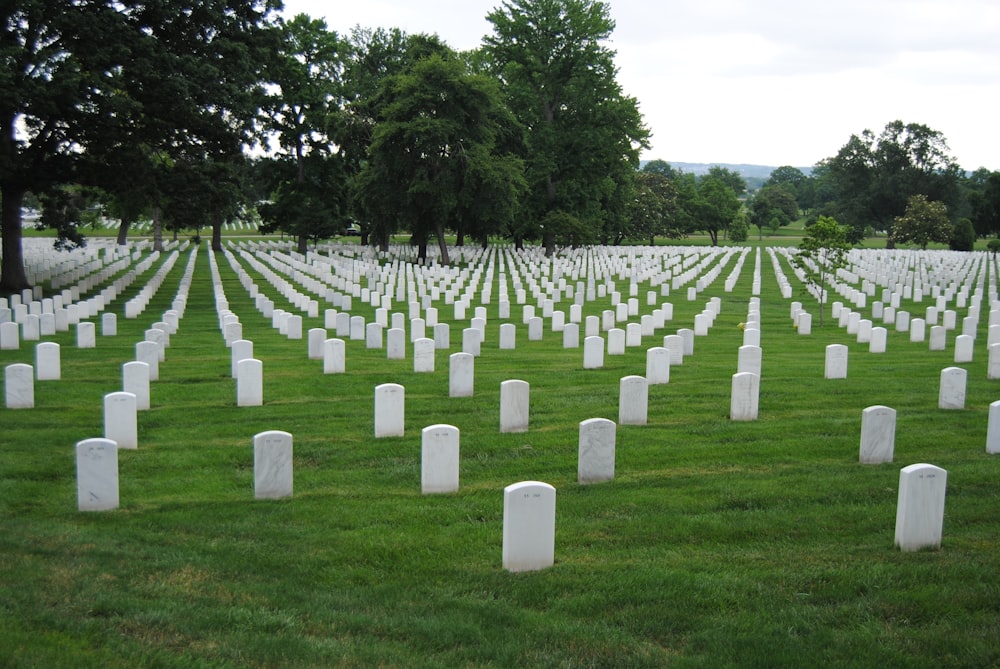 white cross on green grass field during daytime