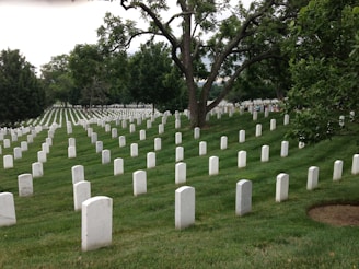 Numerous white headstones are neatly arranged in rows on a well-maintained green lawn, typical of a military cemetery. Mature trees are scattered throughout, offering shade, while the headstones extend into the distance, creating a solemn and orderly atmosphere.