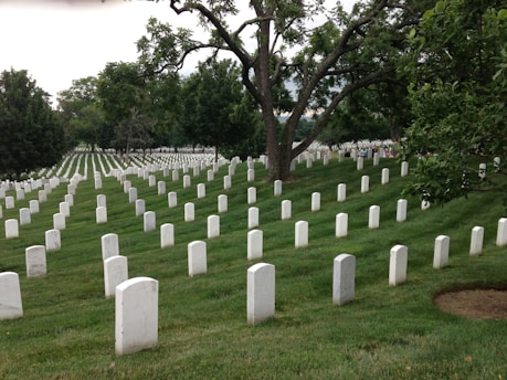 Numerous white headstones are neatly arranged in rows on a well-maintained green lawn, typical of a military cemetery. Mature trees are scattered throughout, offering shade, while the headstones extend into the distance, creating a solemn and orderly atmosphere.
