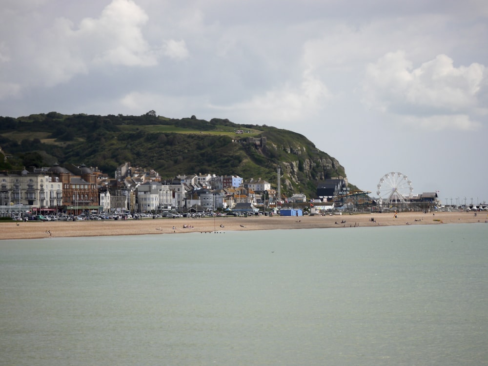 people on beach during daytime