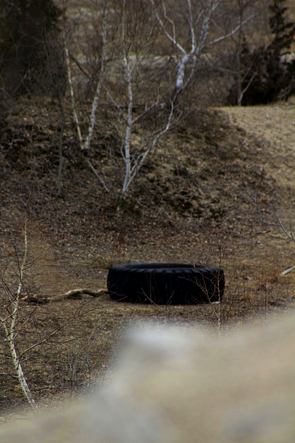 black round container on brown soil