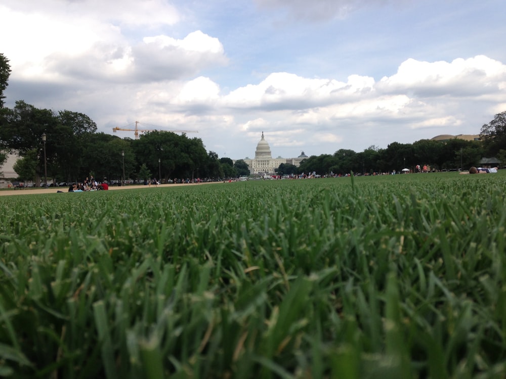 green grass field under white clouds during daytime