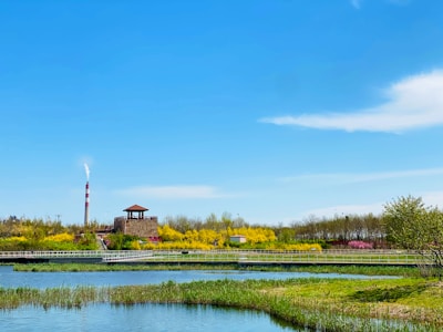 A serene landscape highlighting the impact of chemical exposure.