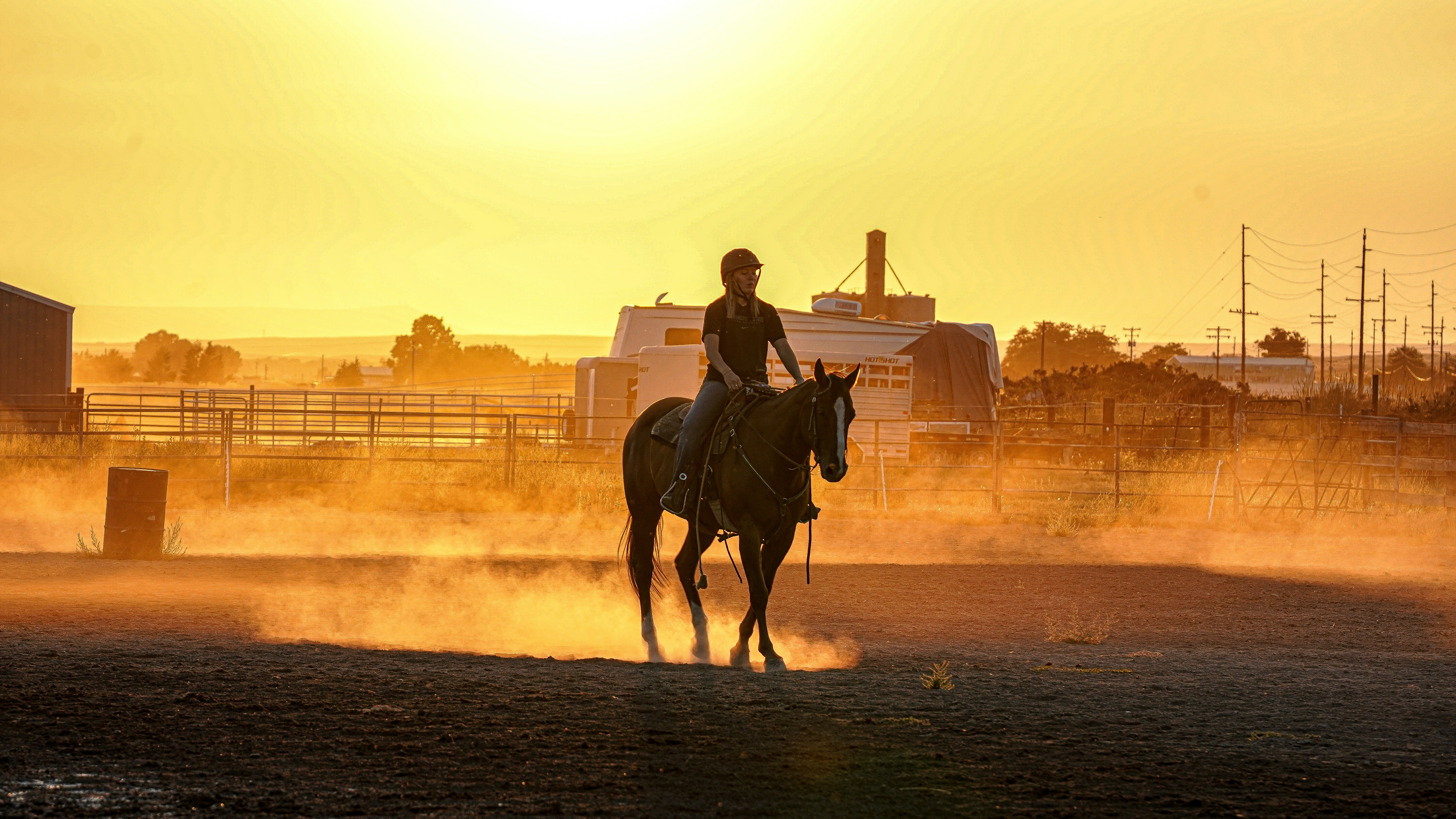 Man riding horse on beach during sunset photo Free Walla walla Image