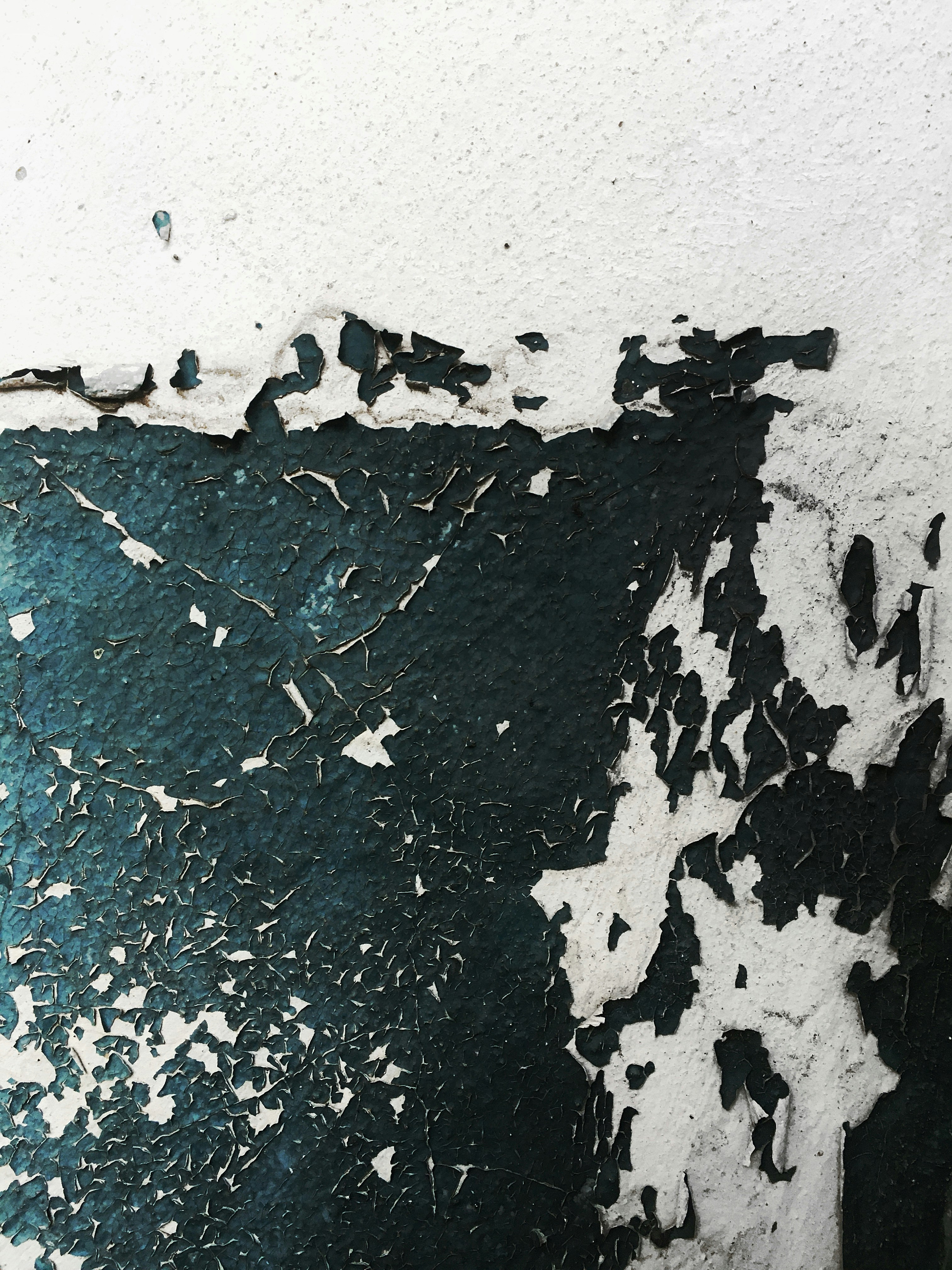 Photo by benjamindem