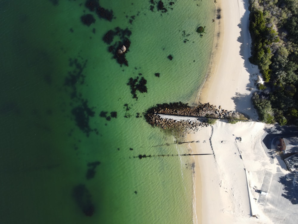 aerial view of body of water during daytime