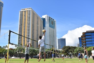 A group of people are playing volleyball outdoors on a grassy field with a volleyball net set up. Tall modern buildings and skyscrapers form the background, under a clear blue sky. Lush green trees surround the area, creating a bright and lively atmosphere.