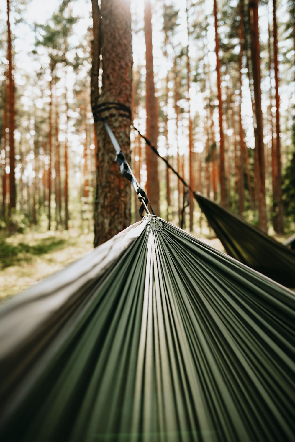 grey hammock between trees during daytime