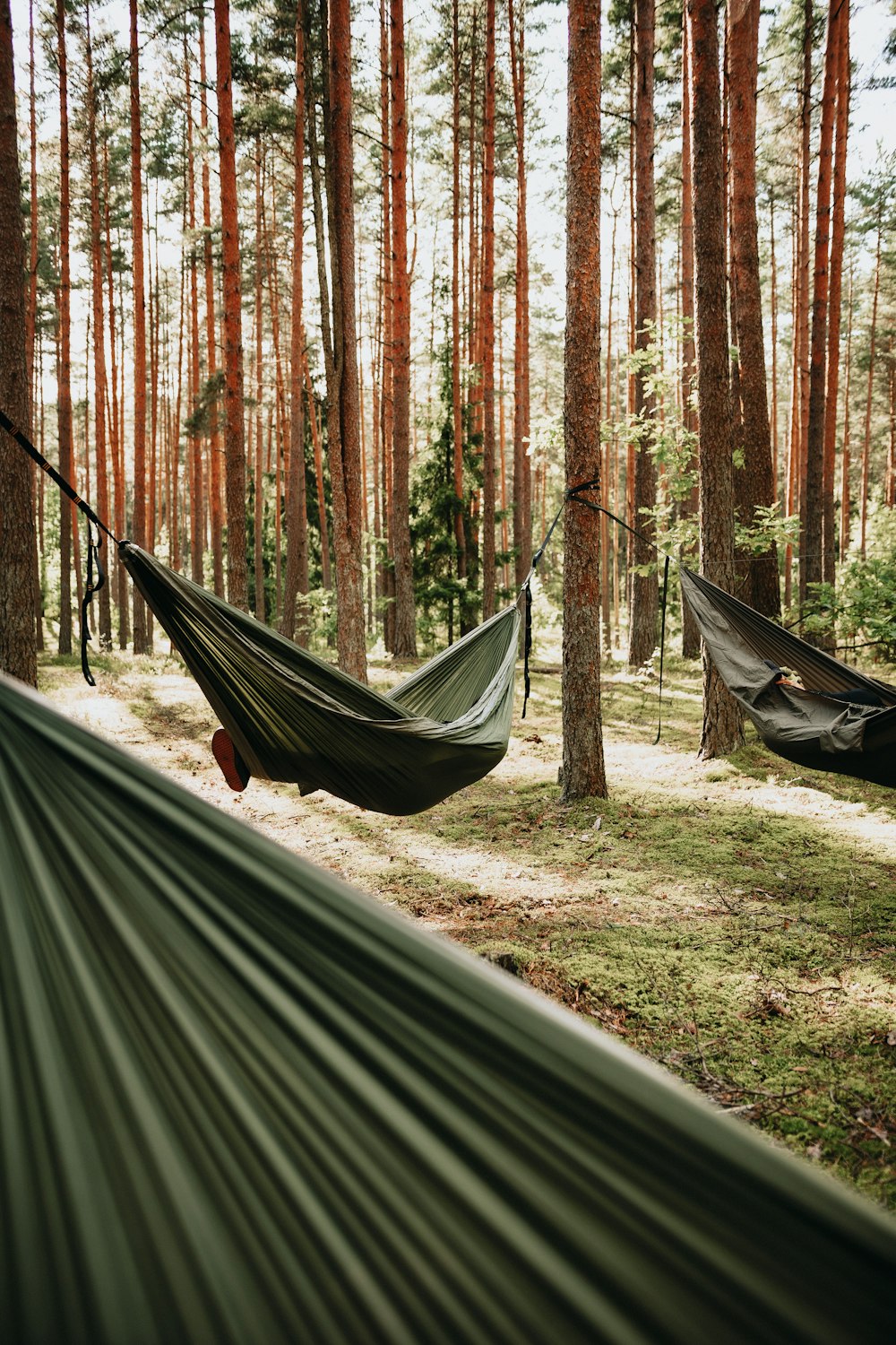 black hammock between trees during daytime