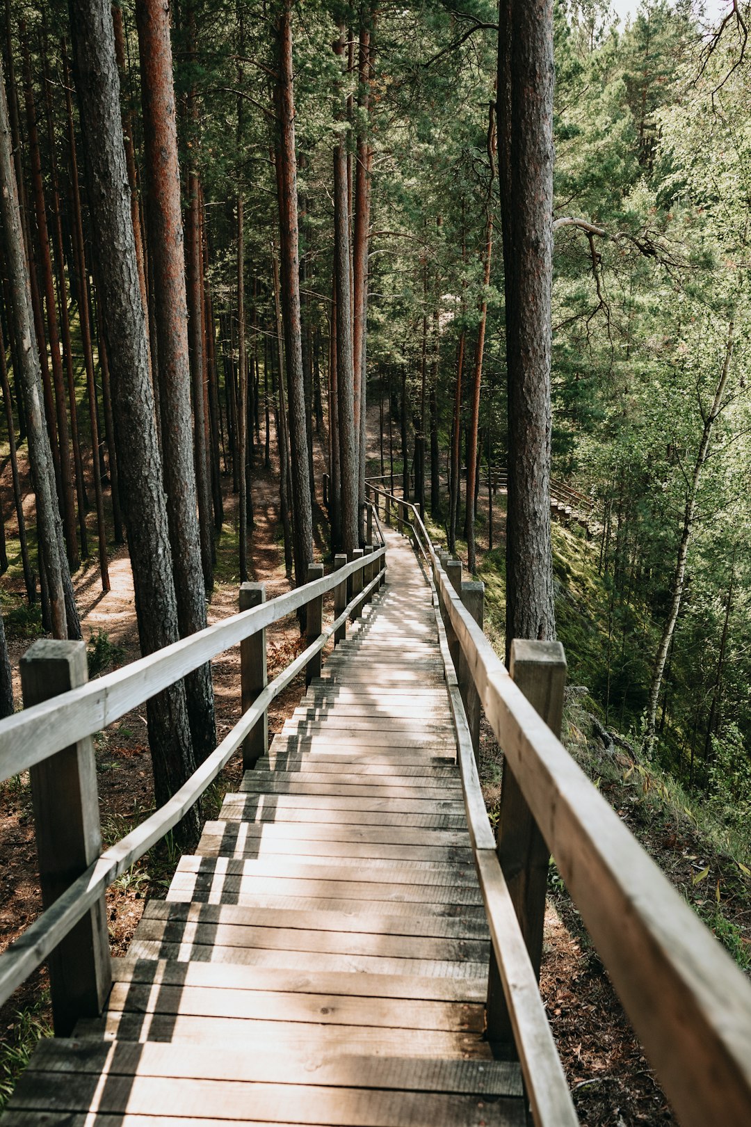 brown wooden bridge in forest during daytime