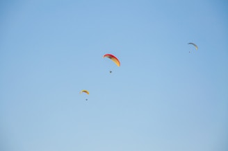 Three paragliders are soaring high against a clear blue sky. Each paraglider features vibrant colors, with the largest one having red and yellow accents. The smaller two also display bright colors as they float gracefully in the open air.