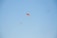 Three paragliders are soaring high against a clear blue sky. Each paraglider features vibrant colors, with the largest one having red and yellow accents. The smaller two also display bright colors as they float gracefully in the open air.
