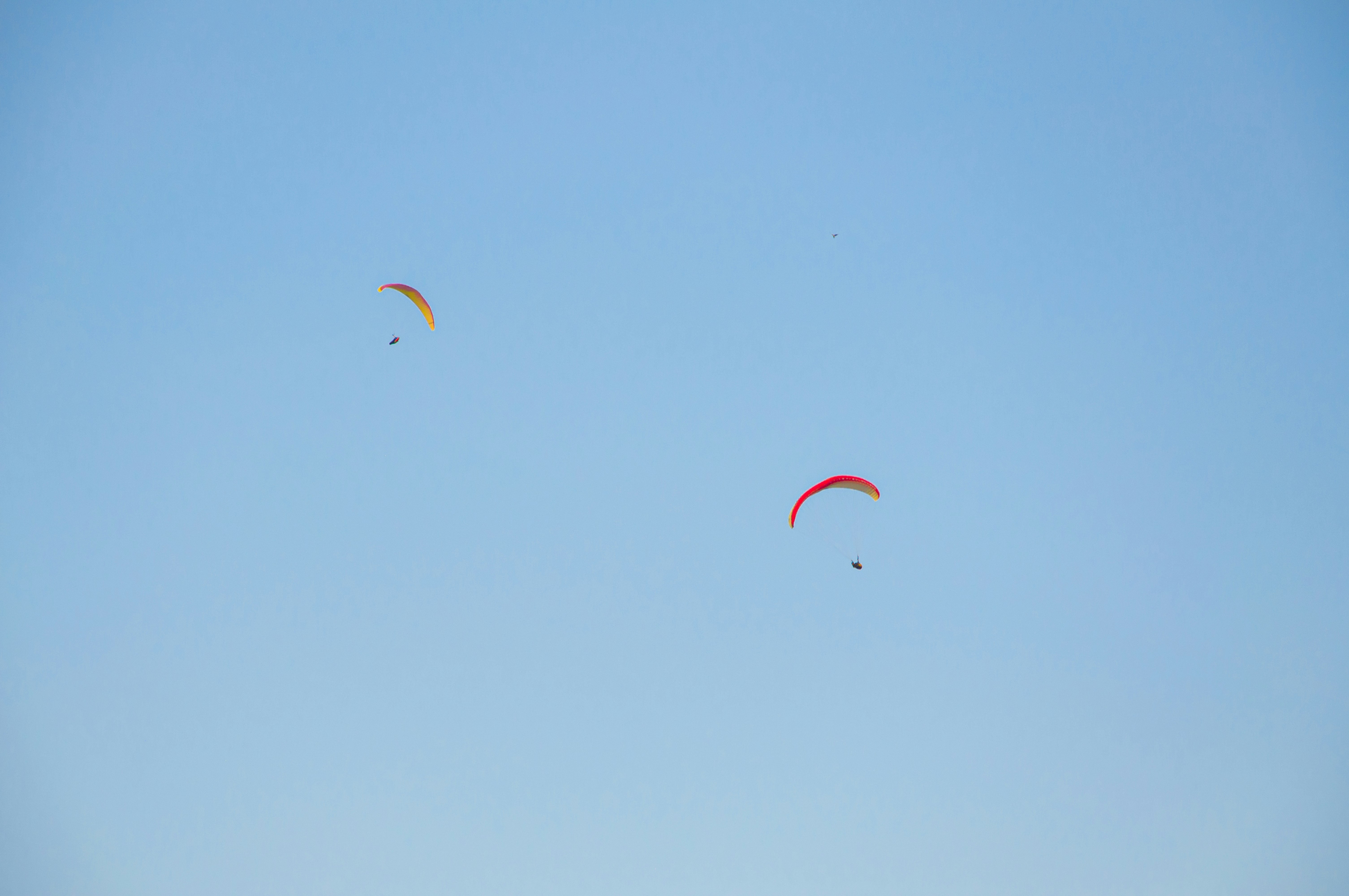 paragliding during golden hour 🪂