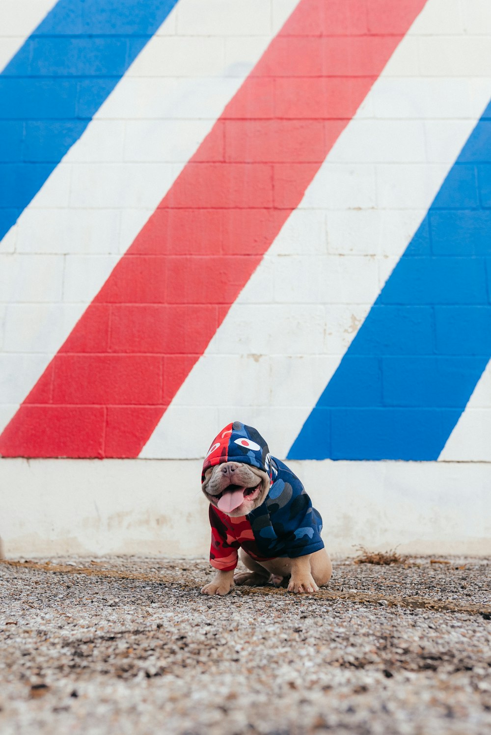 Fille en veste bleue et pantalon noir assise sur le sol à côté d’un mur de béton bleu et rouge