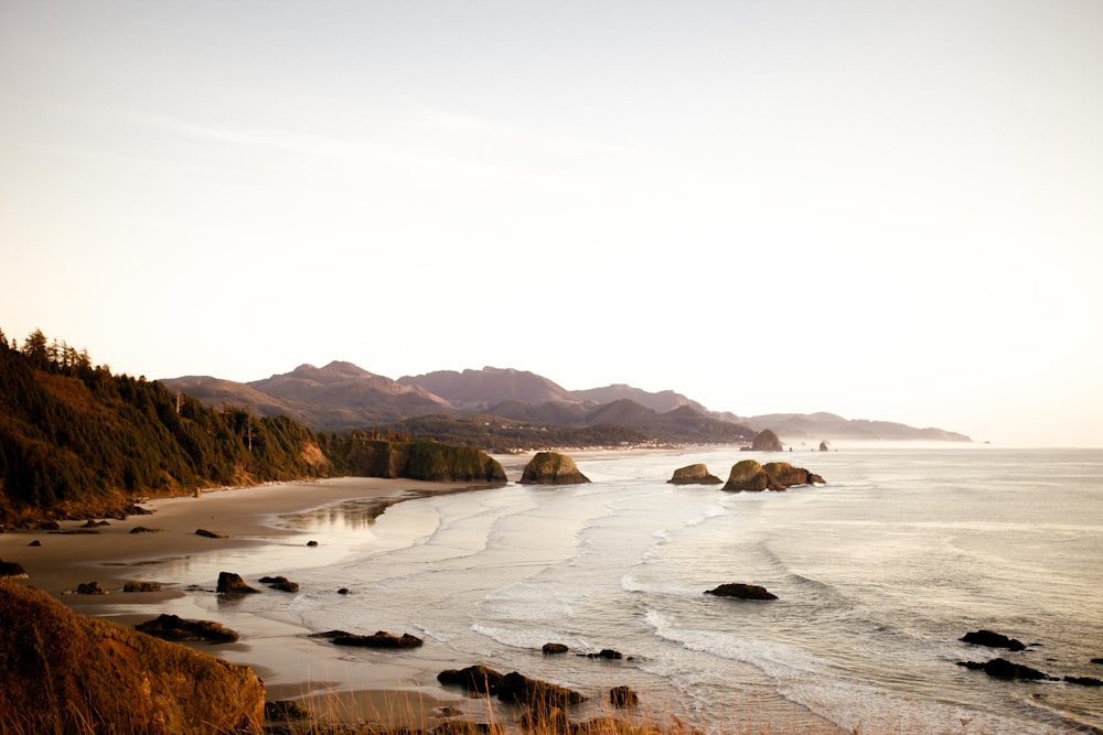 brown rock formation on sea water during daytime