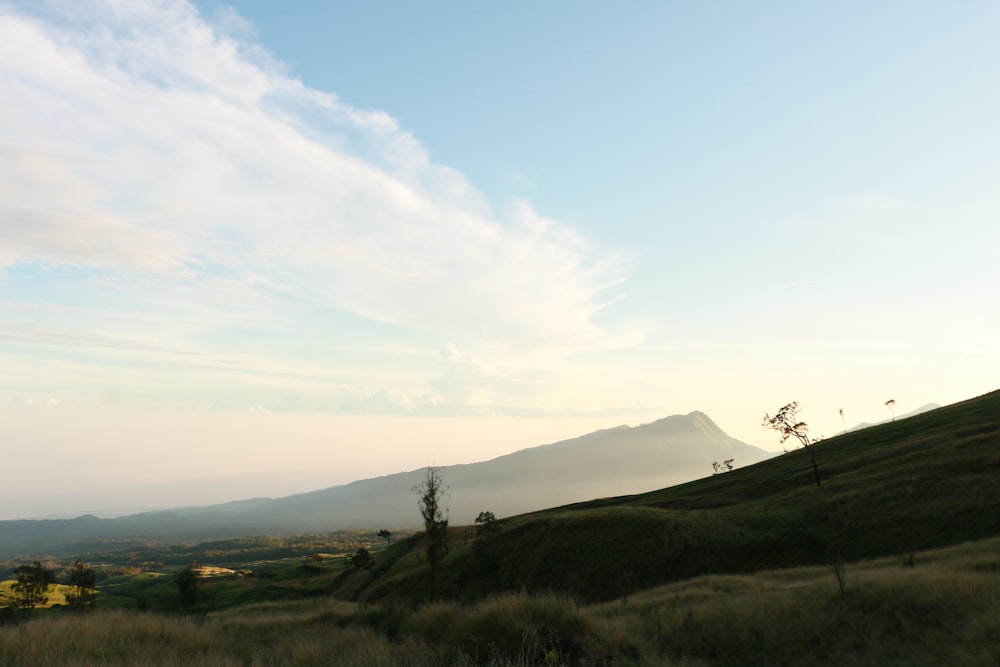 campo de hierba verde cerca de la montaña bajo el cielo azul durante el día