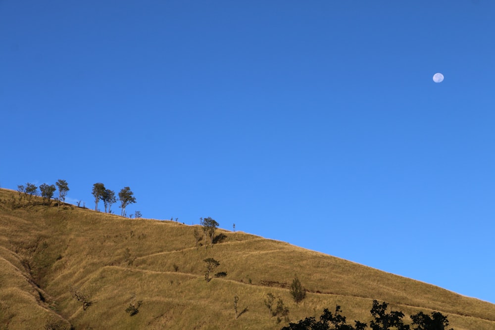 Gente en la montaña marrón bajo el cielo azul durante el día