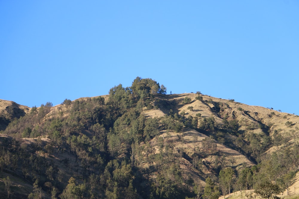 Montaña rocosa marrón bajo el cielo azul durante el día