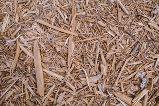 brown and black wooden sticks